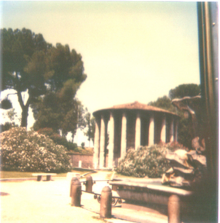 roy in rome 14