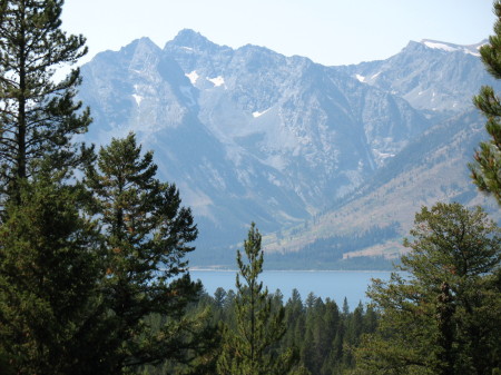 The Tetons & Jackson Lake through the trees