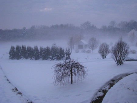 Our backyard in the snow