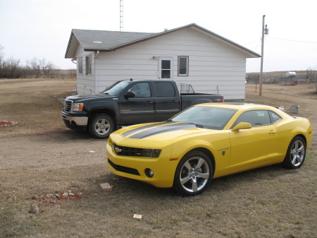 Bumblebee and Ironhide jr.