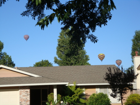 Susan Armstrong's album, Morning in the Napa Valleyl....