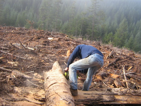 Wood cutting