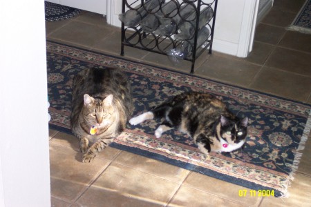 Bobcat and Cloe