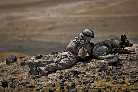 K9 handler on patrol in Afganistan. 