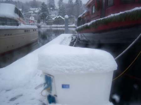 We Had Two Feet of Snow On The Docks