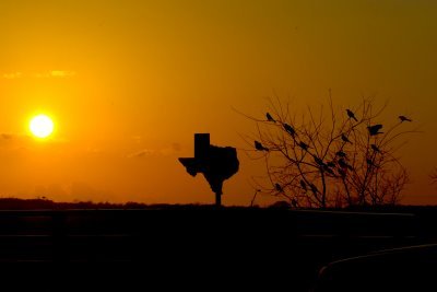 God Blessed Texas