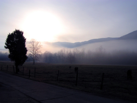 Misty morning in Cades Cove