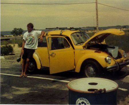 Todds Yellow Bug