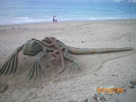 sand sculpture-lizards