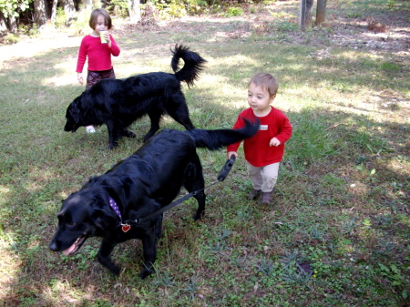 The kids and the dogs....