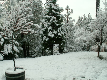 snow in front yard