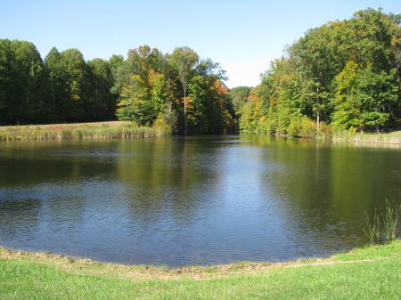The big pond