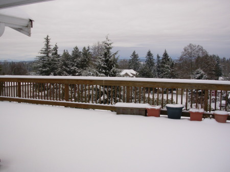 December 2008 6" of snow