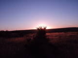 New Mexico Sunset  2008