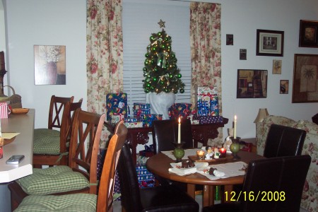 Florida home at Christmas time 2008