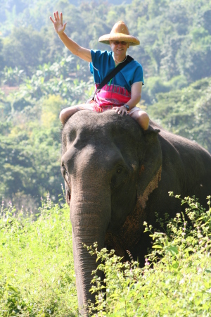 Elephant Ride