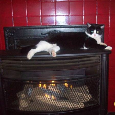 Relaxing on top of the fire