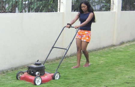 House Help Mowing Backyard Lawn