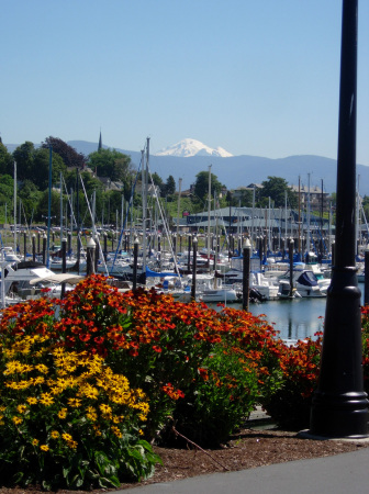 Mt Baker from Squalicum Harbor, in Bellingham