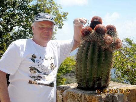 Corky loves cacti - Antigua