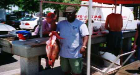 Fishing In the Gulf