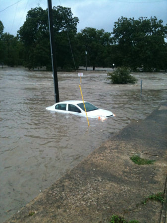 Thought he had a great parking spot!