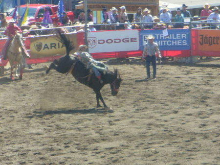 rodeo