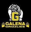 Galena High School Logo Photo Album