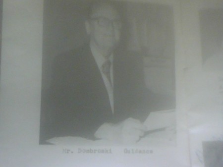 Mr.Dombroski (Guidance)
