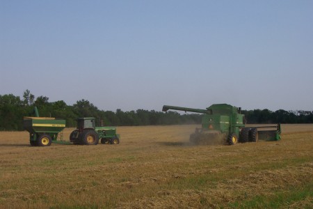 Harvest 2008