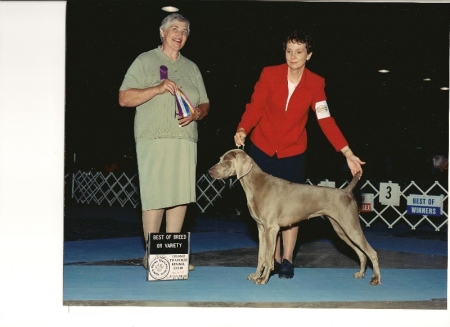 2002 Sophie and Doris "Best of Breed"