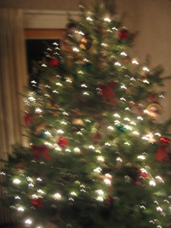 Our tree 2008