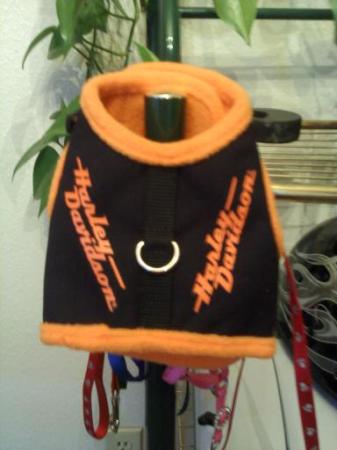 My Min Chi Kasey's first Harley Jacket