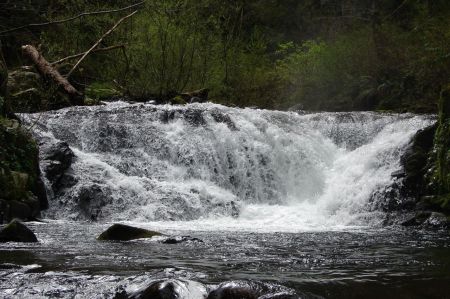 local scenery