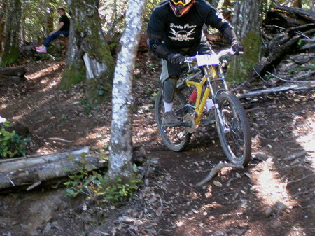 racing in the humboldt redwoods