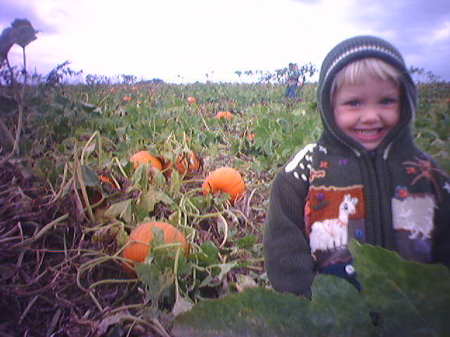 In The Pumpkin Patch