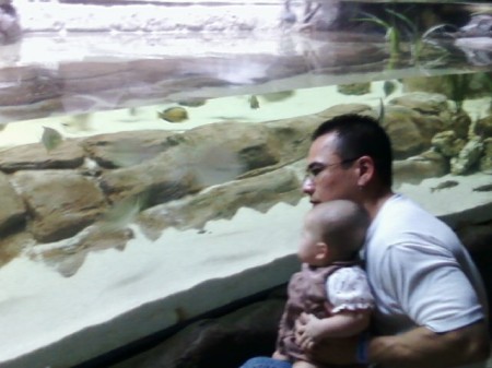 AT the Aquarium