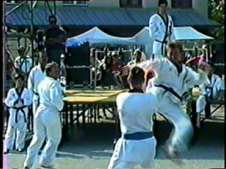 Martial Arts Demonstratons