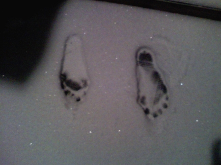 Footprints in the snow??