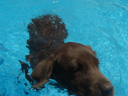 Labs/Water