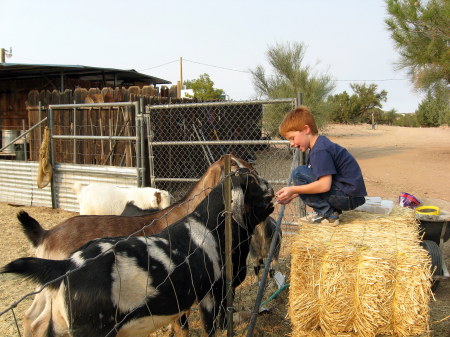 Little Wyatt feeding crackers to the Neubians