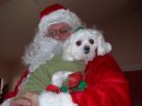 Santa and his little helper (Mel & Tink)