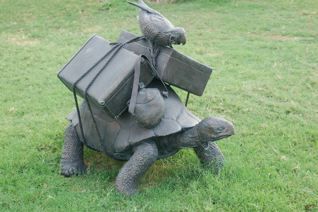 turtle taking a trip