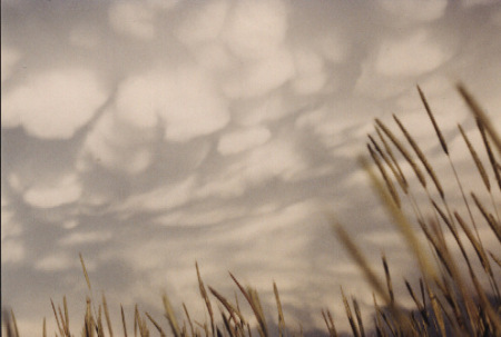 Storm Clouds