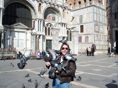 Birds of Venice 2007