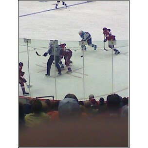 Catching a Coyotes Hockey Game