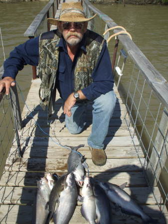 >100 #'s of Catfish in < 5 hours From my dock