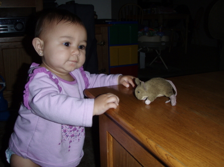 AJ loves her mouse......