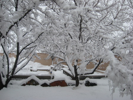 Santa Fe, NM Winter 2010