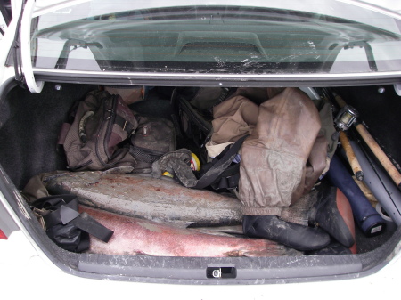 Rental Car trunk